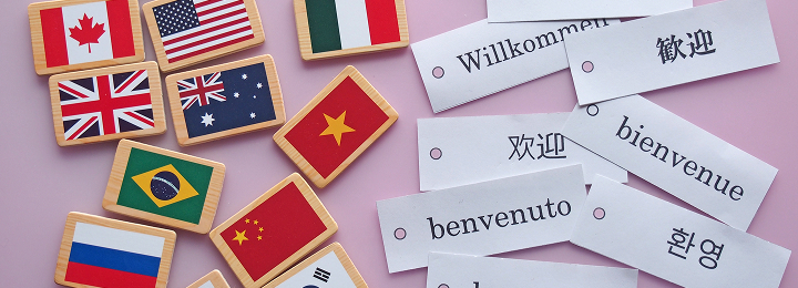4. Methods of Intellectual Property Translation